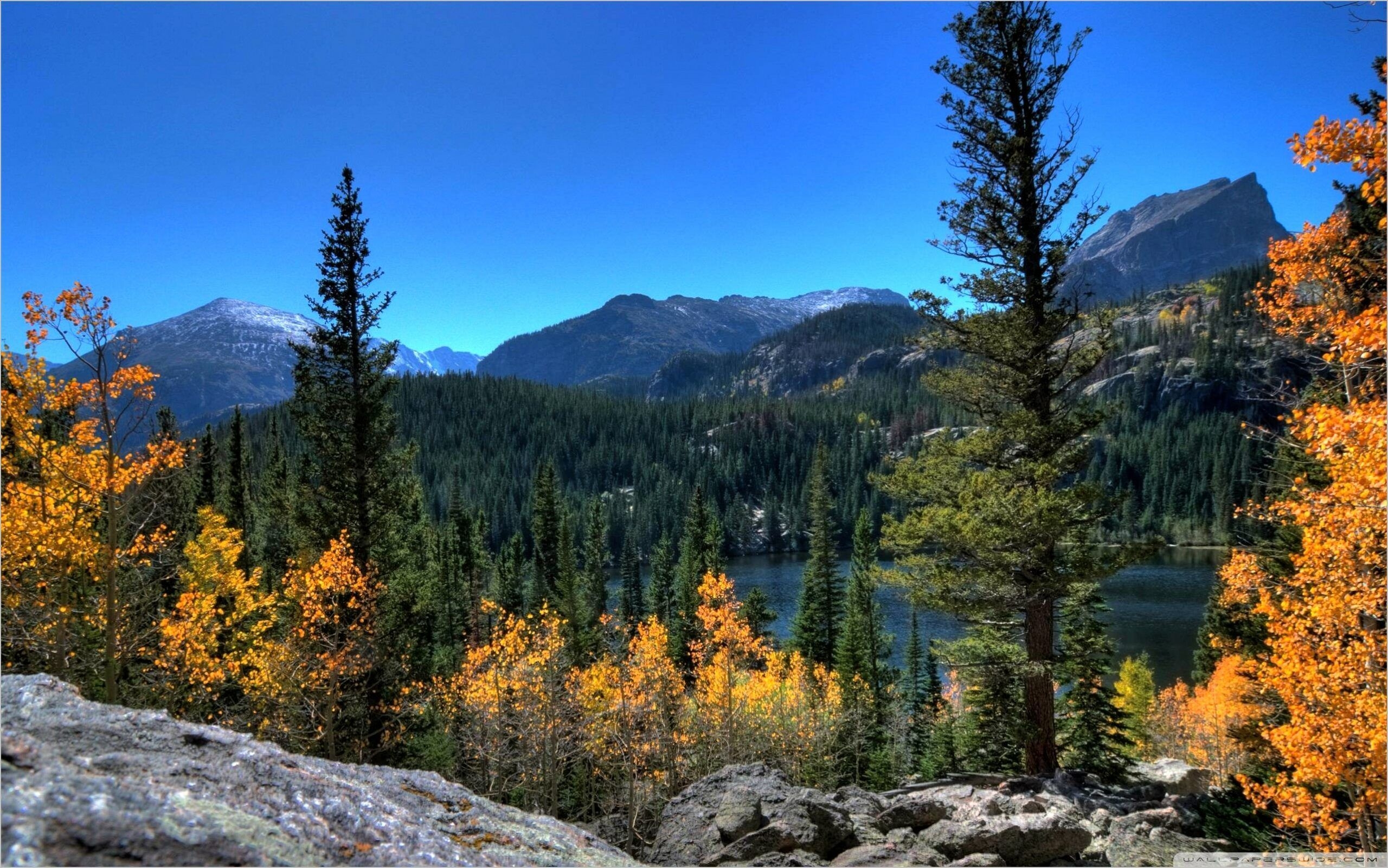 2560x1610 Rocky Mountains Fall Colors Wallpaper 4k. Rocky mountain national park colorado, Rocky mountain national park, Rocky mountain national, Desktop