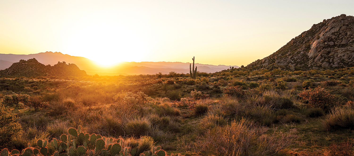 1500x670 Best Places To Take Picture In Scottsdale, AZ, Dual Screen