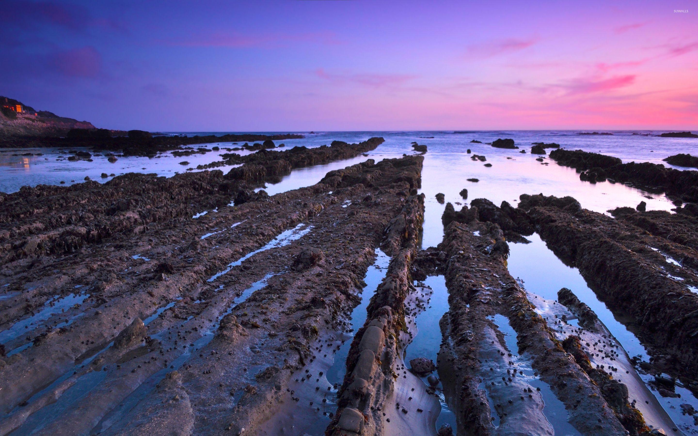 2880x1800 Mud trails towards the ocean wallpaper wallpaper, Desktop