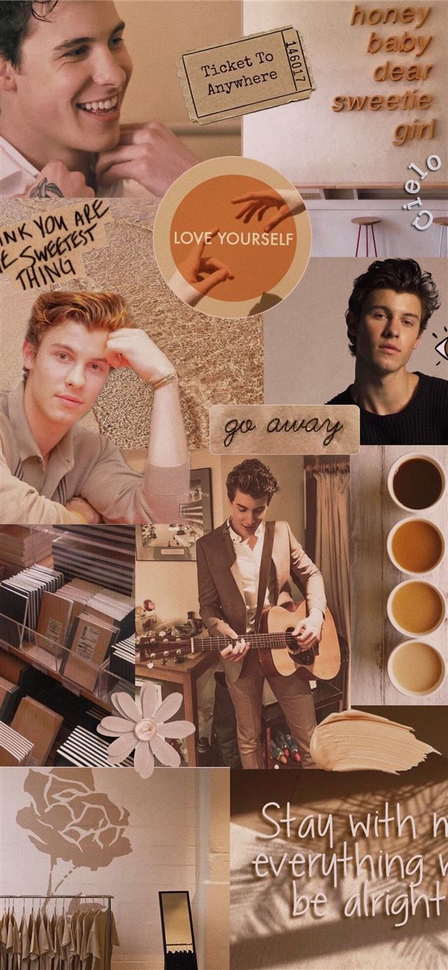 640x1390 Shawn Mendes aesthetic beige iPhone 11 Wallpaper Free Download, Phone