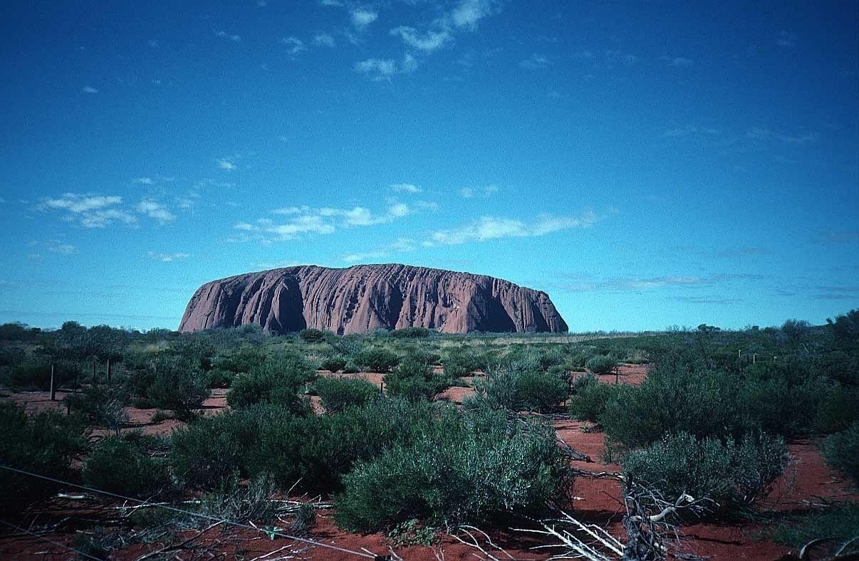 1210x790 Deserts: Uluru Desert Red Shrubs Dingo Rock Large Australia Outback, Desktop