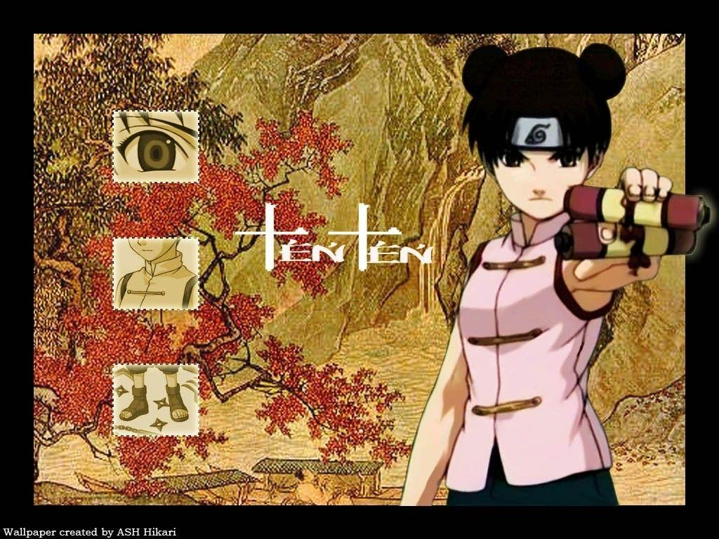 1030x770 image For > Tenten Wallpaper, Desktop