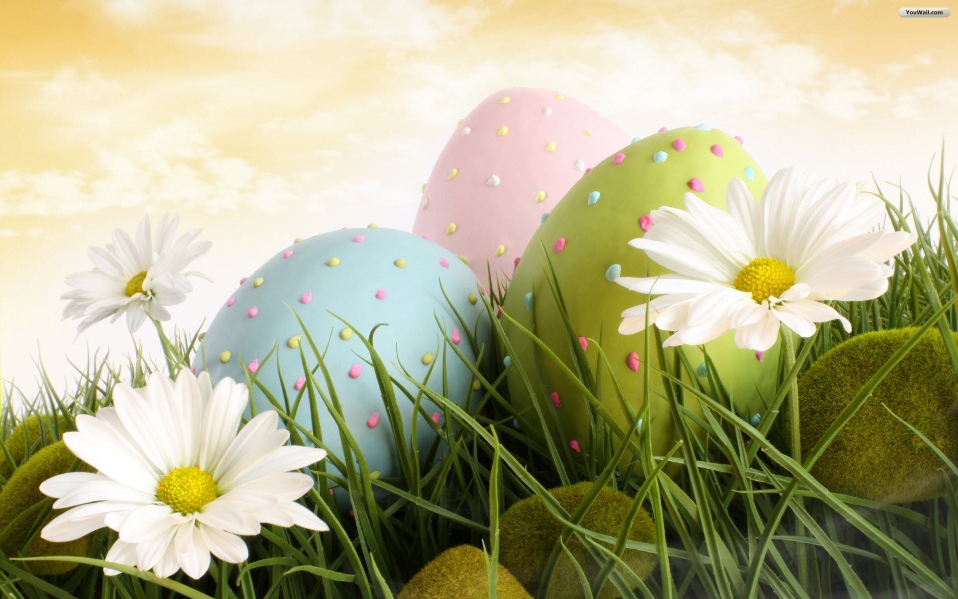 1920x1200 Easter Background Flowers And Easter Eggs, Desktop