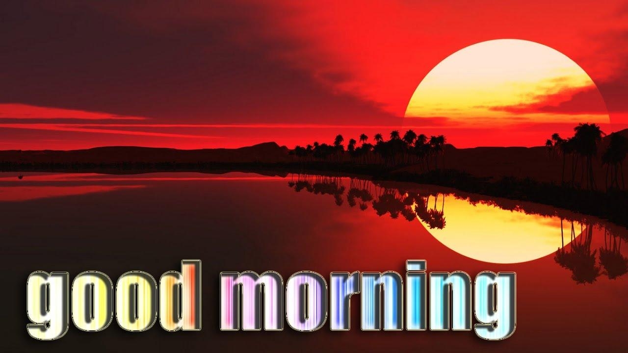 1280x720 good morning with Nature. Good morning Wise. Good morning HD, Desktop