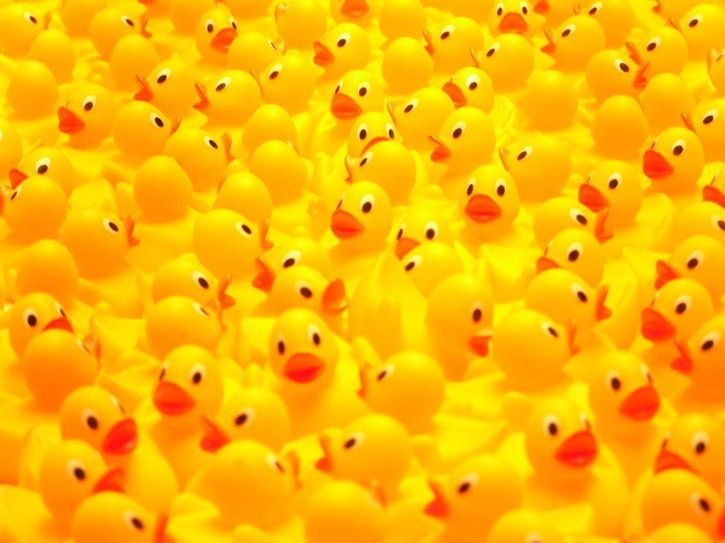 1030x770 Rubber Duck Wallpaper Free Rubber Duck Background, Desktop