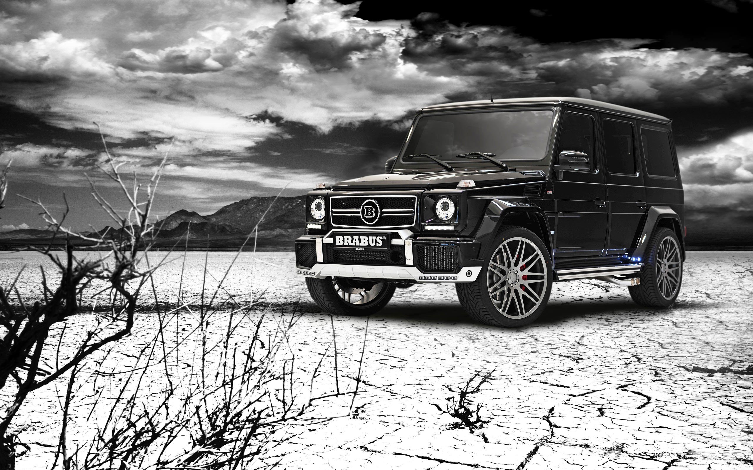 2560x1600 Brabus HD wallpaper, Background, Desktop