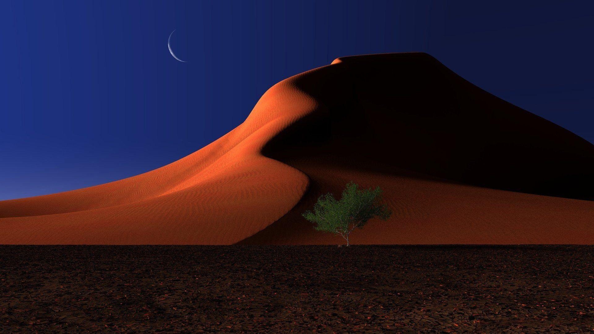 1920x1080 Landscape With A Red Sand Dune African Acacia Tree And Desert, Desktop