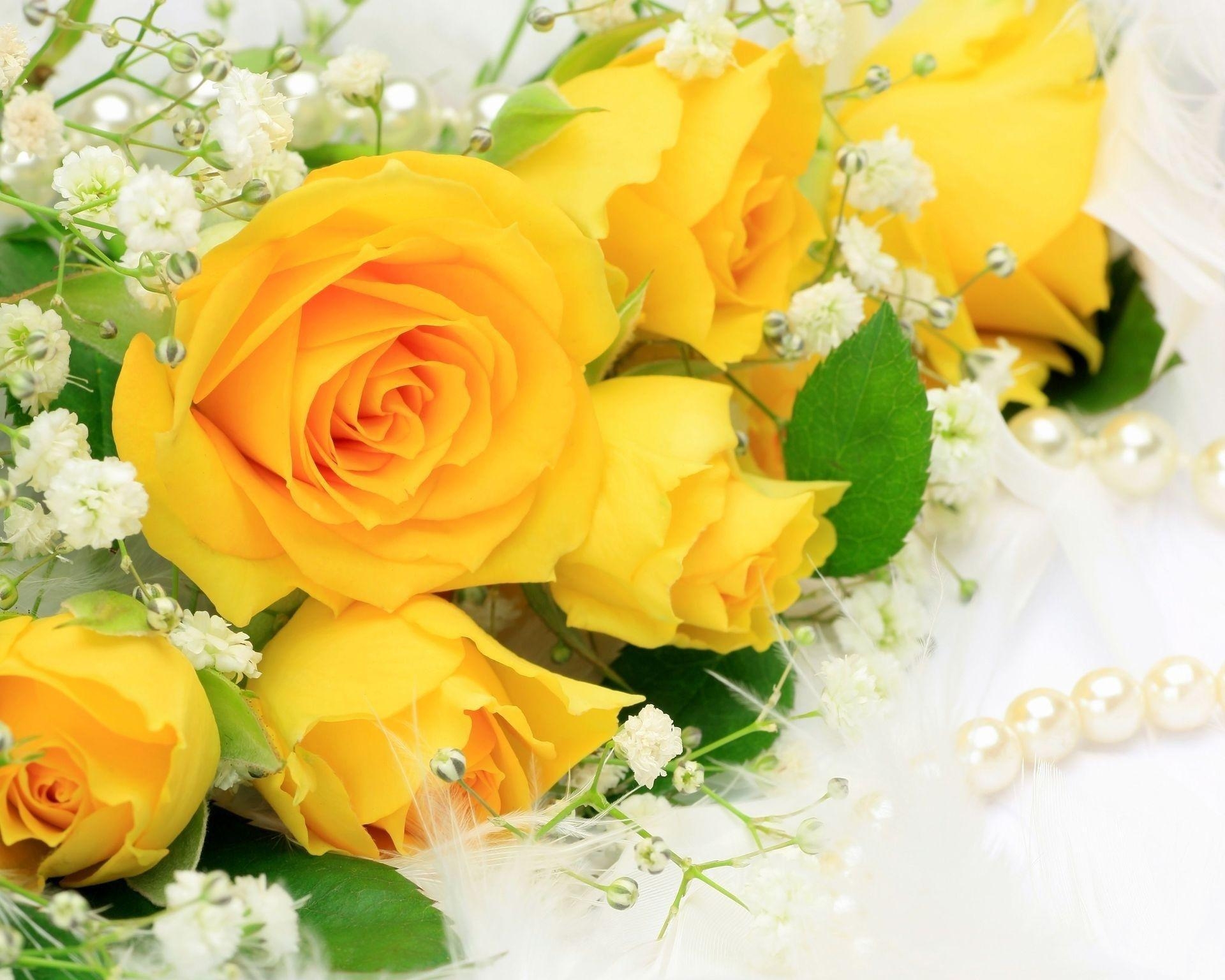 1920x1540 Yellow Rose HD Widescreen Wallpaper, Desktop