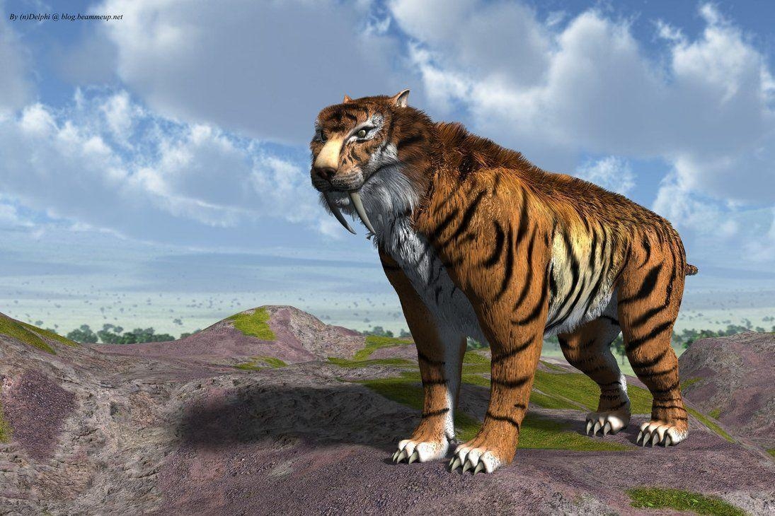 1100x730 Saber Tooth Tiger Wallpaper, Desktop