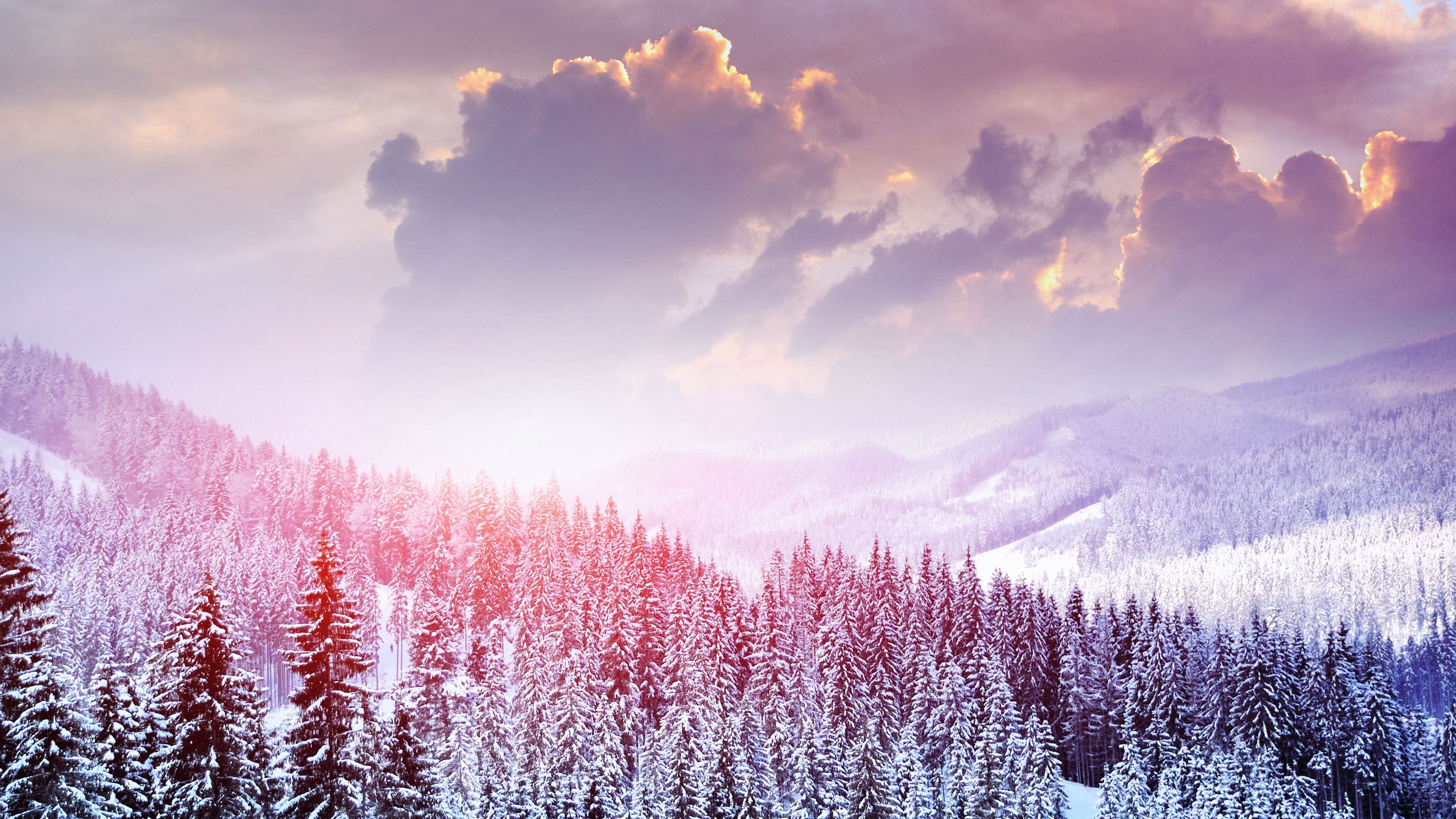 3840x2160 Winter Snow 4k, 5k And 8k Wallpaper SFW, Desktop