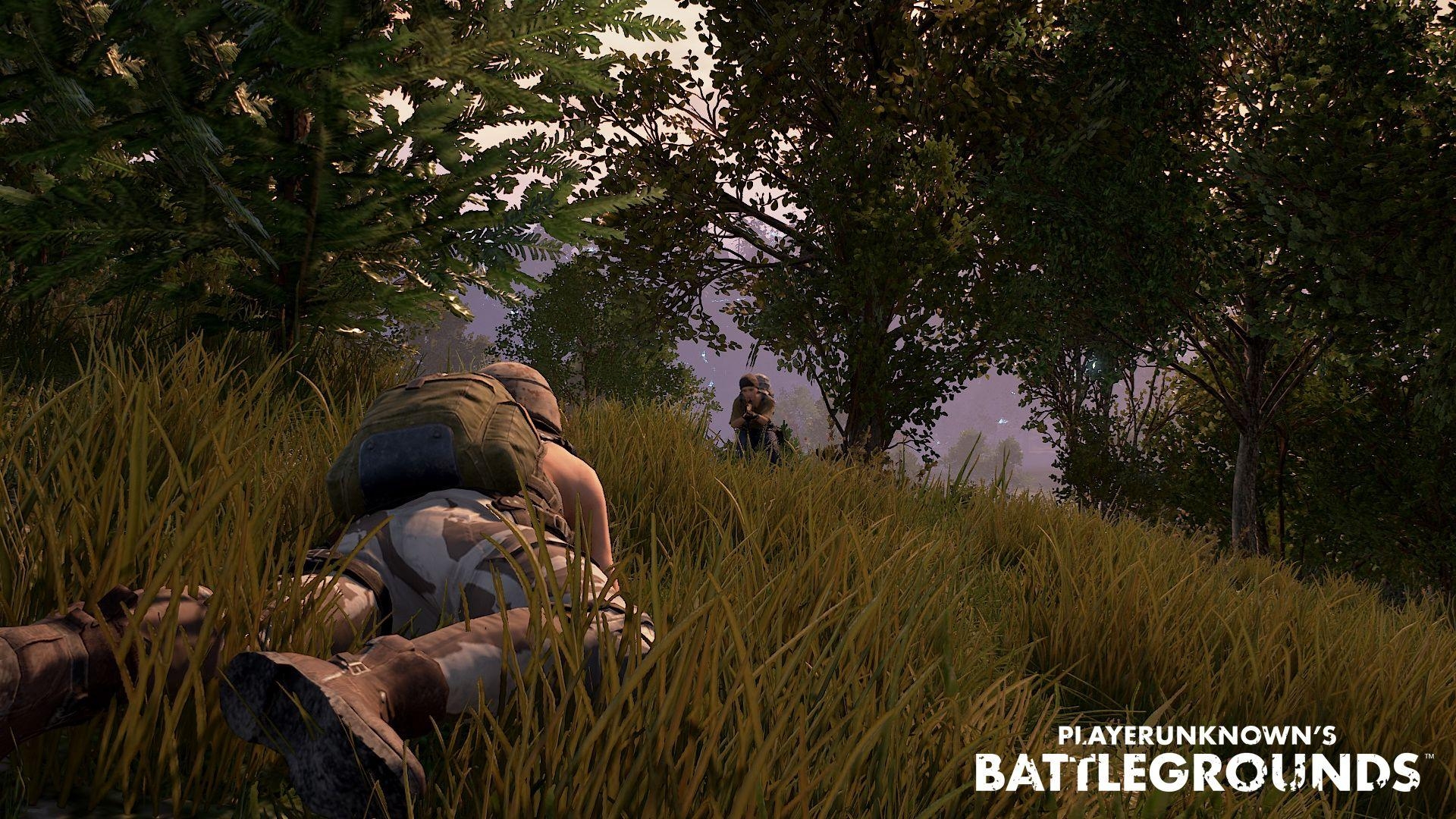 1920x1080 PLAYERUNKNOWN'S BATTLEGROUNDS Wallpaper, Picture, Image, Desktop