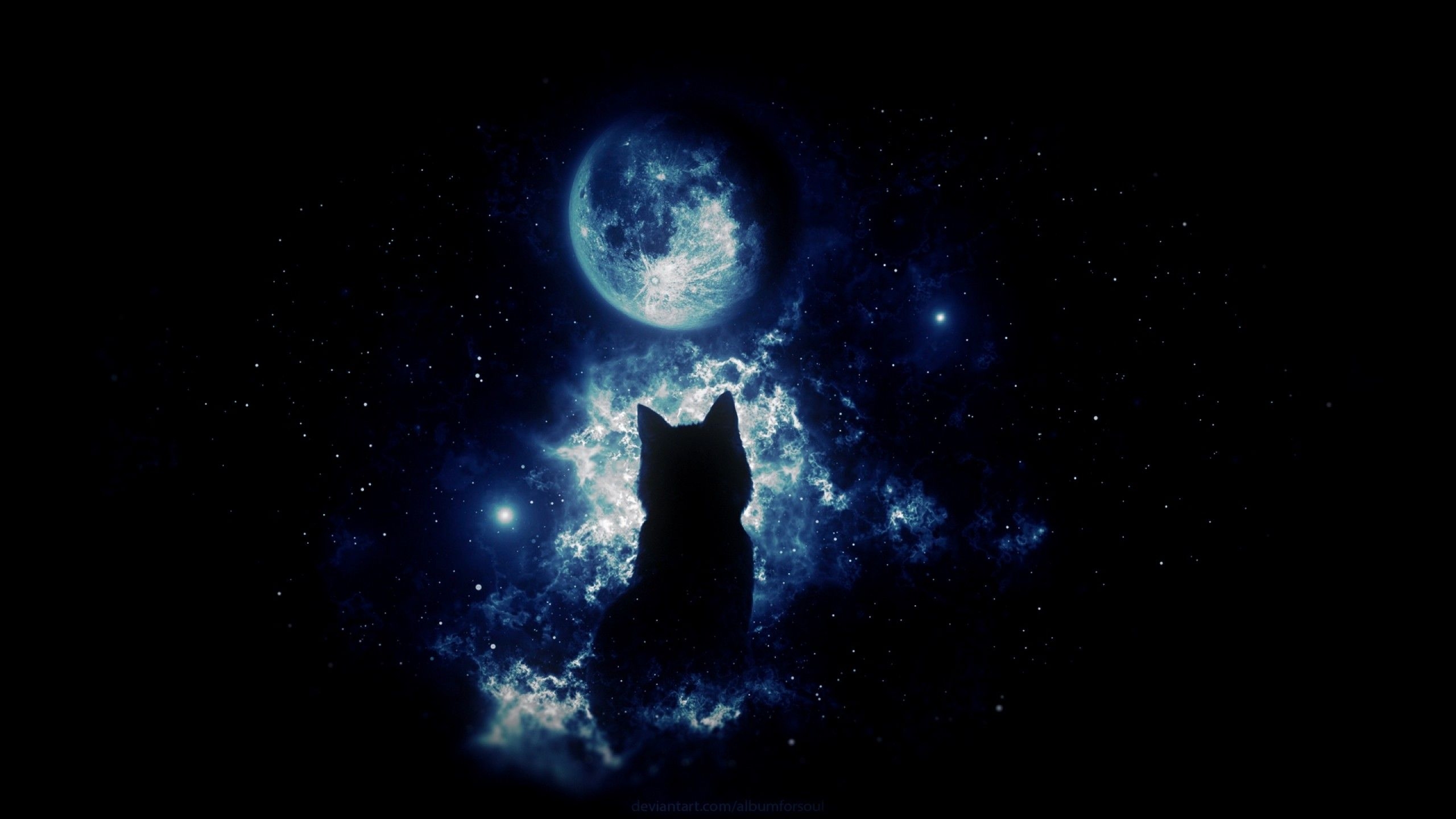 2560x1440 Anime cat staring at the moon HD Wallpaper Youtube Cover Photo, Desktop