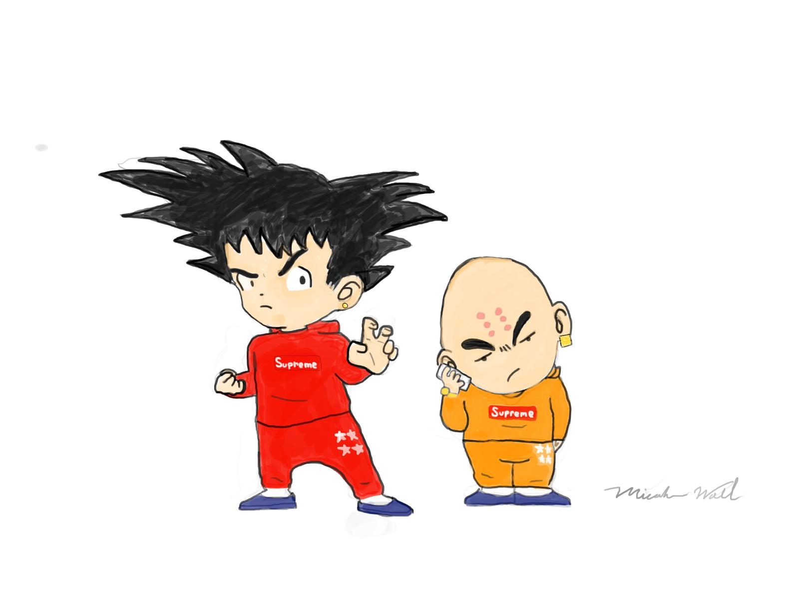 1600x1200 Goku X Krillin And Krillin Supreme, Desktop