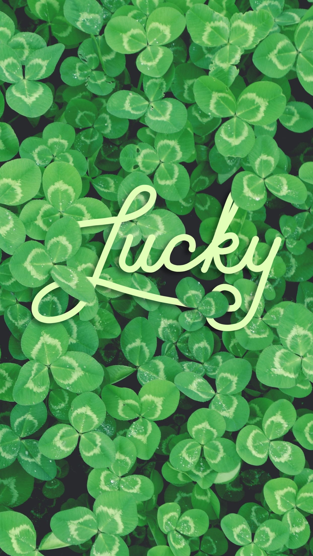 1250x2210 St patricks day wallpaper.com, Phone