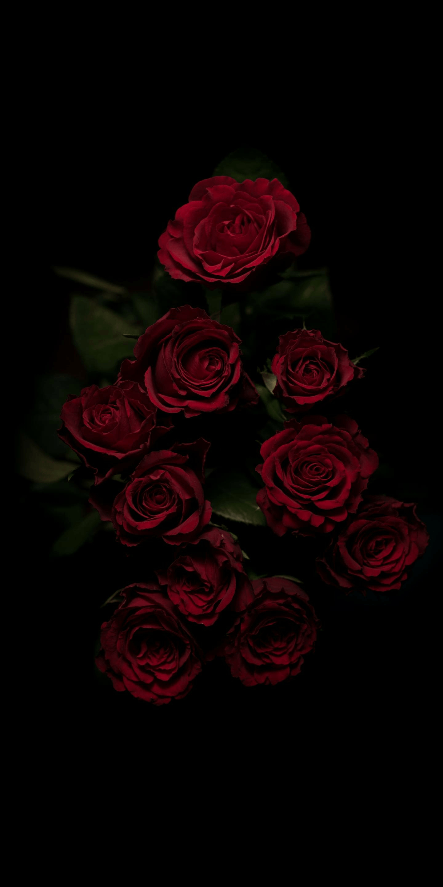 1440x2880 Dark Flowers Aesthetic, Phone