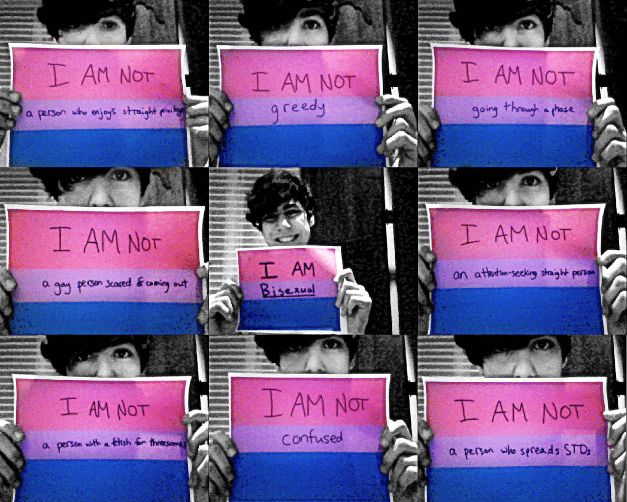 1280x1030 Download Bisexual Flag i Am Not Wallpaper, Desktop