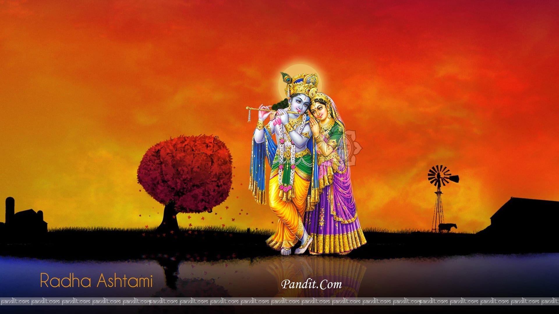 1920x1080 What Is The Reason Behind To Celebrate Radha Ashtami Festival, Desktop