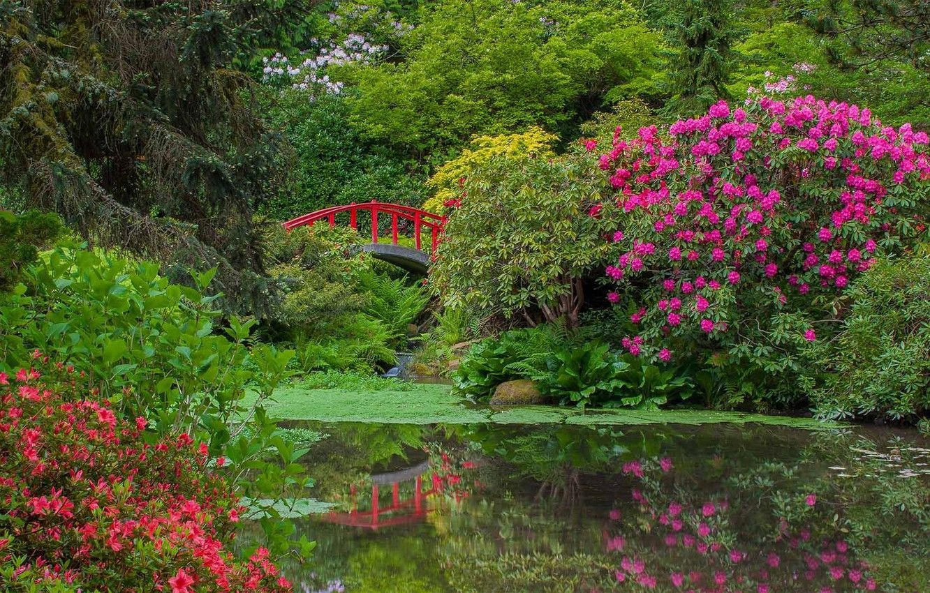 1340x850 Wallpaper flowers, pond, Seattle, USA, the bridge, Garden Kubota, Desktop