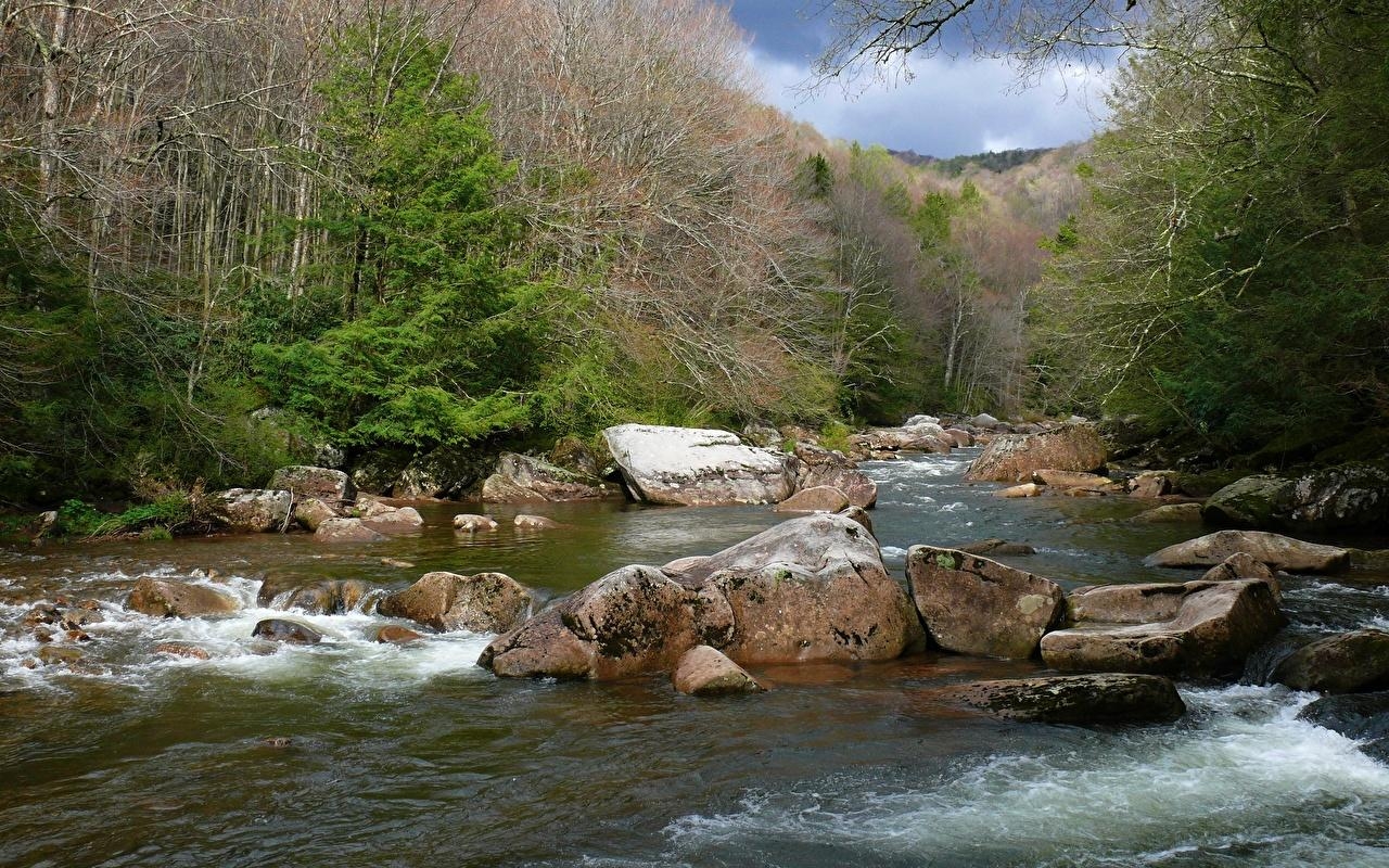 1280x800 Wallpaper USA West Virginia, Williams River, Monongahela national, Desktop