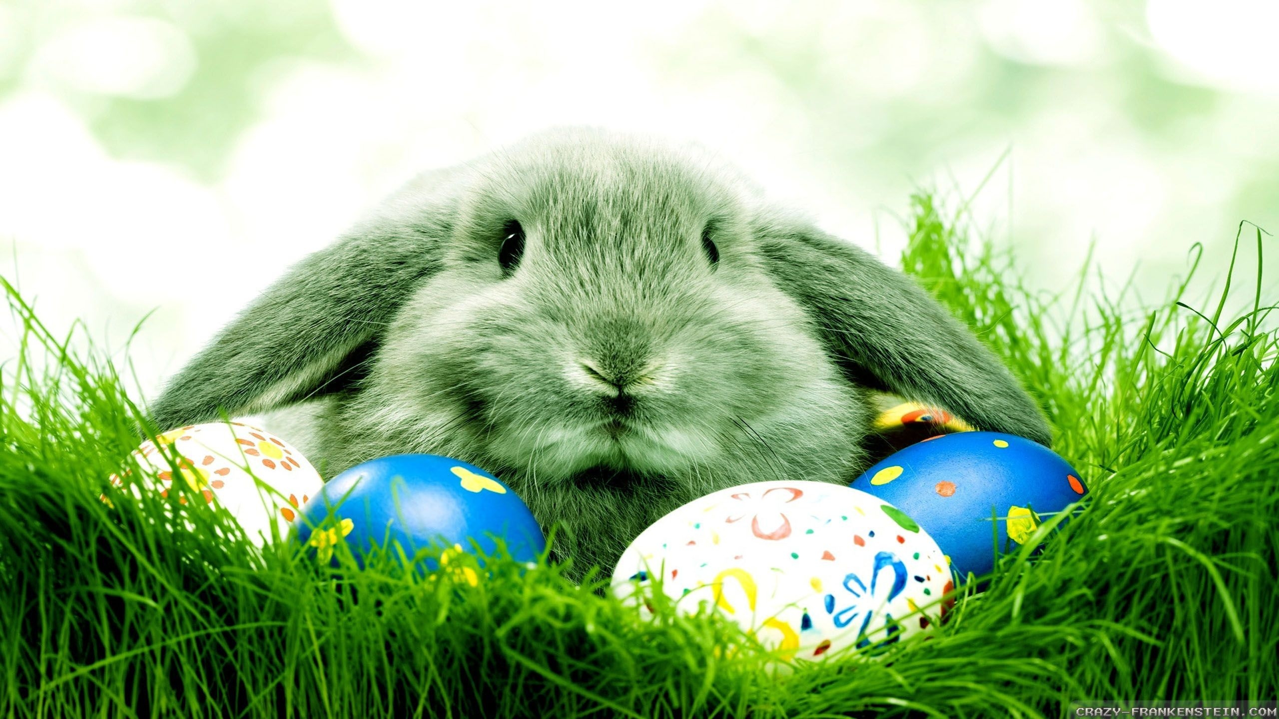 2560x1440 Spring Easter wallpaper, Desktop