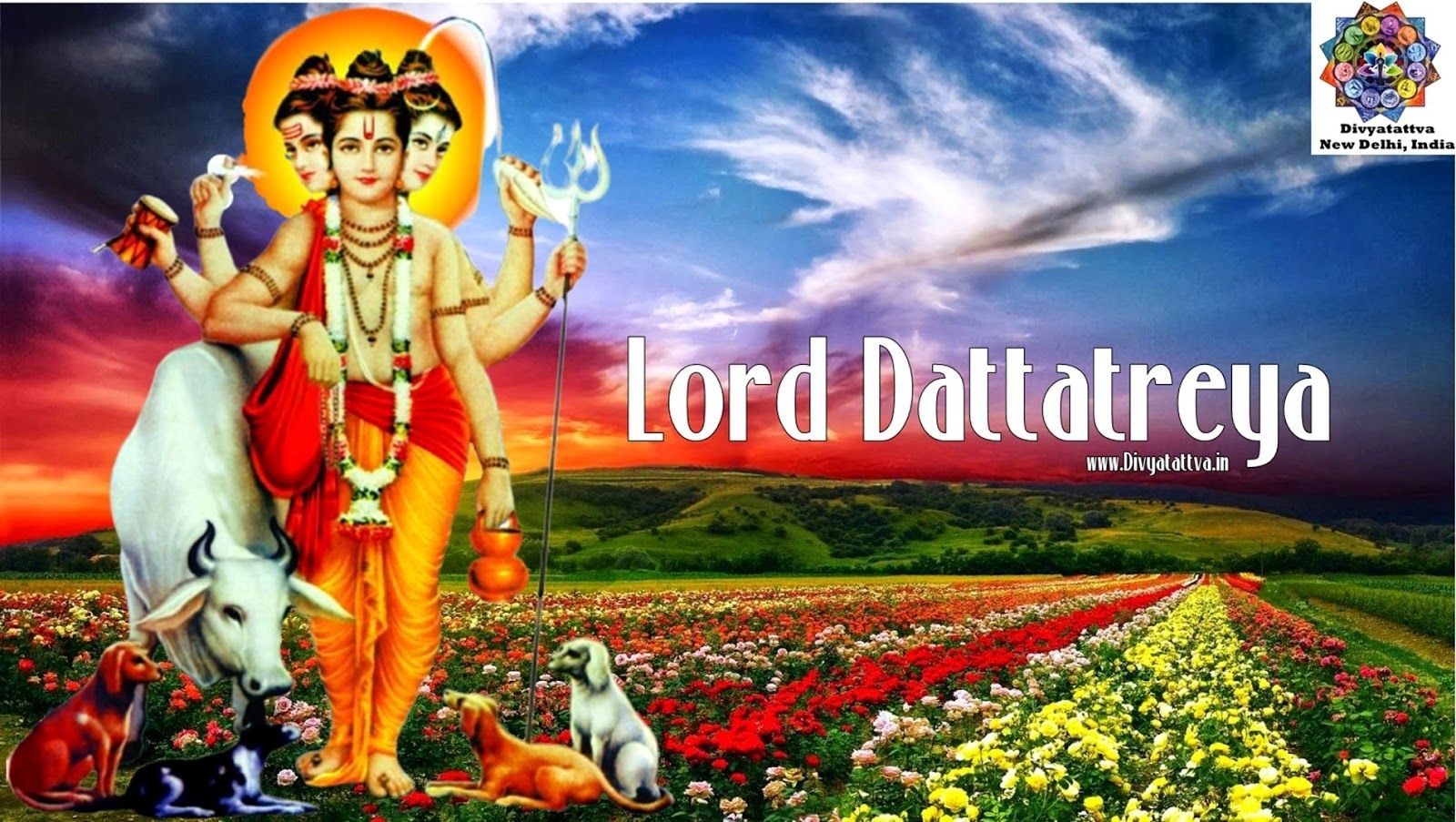 1600x910 Divyatattva Astrology Free Horoscopes Psychic Tarot Yoga Tantra Occult Image Videos, Lord Dattatreya 4K HD Wallpaper Hindu God Dattatreya Picture and Background Free Download for Personal Use, Desktop