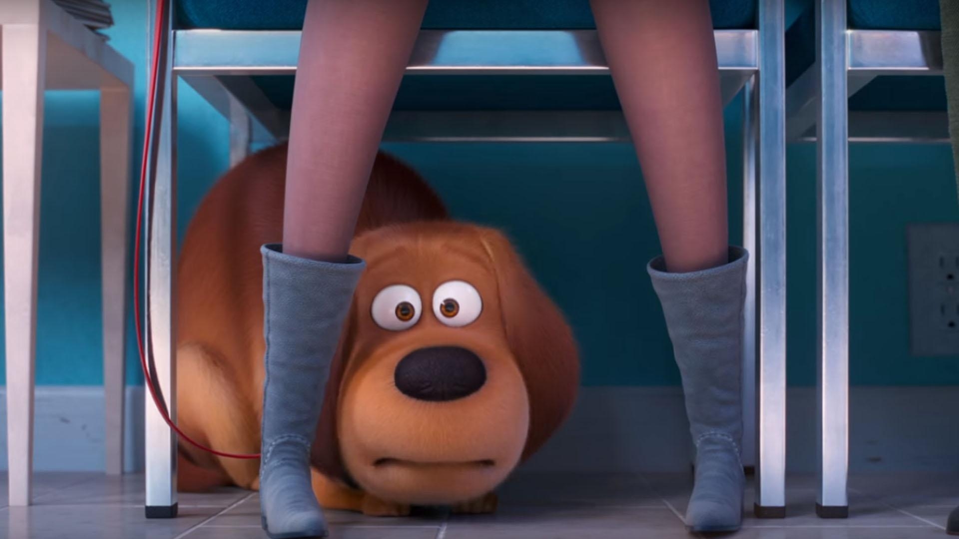 1920x1080 Hero Dog Max Takes Trip To The Vet In First 'Secret Life Of Pets 2, Desktop