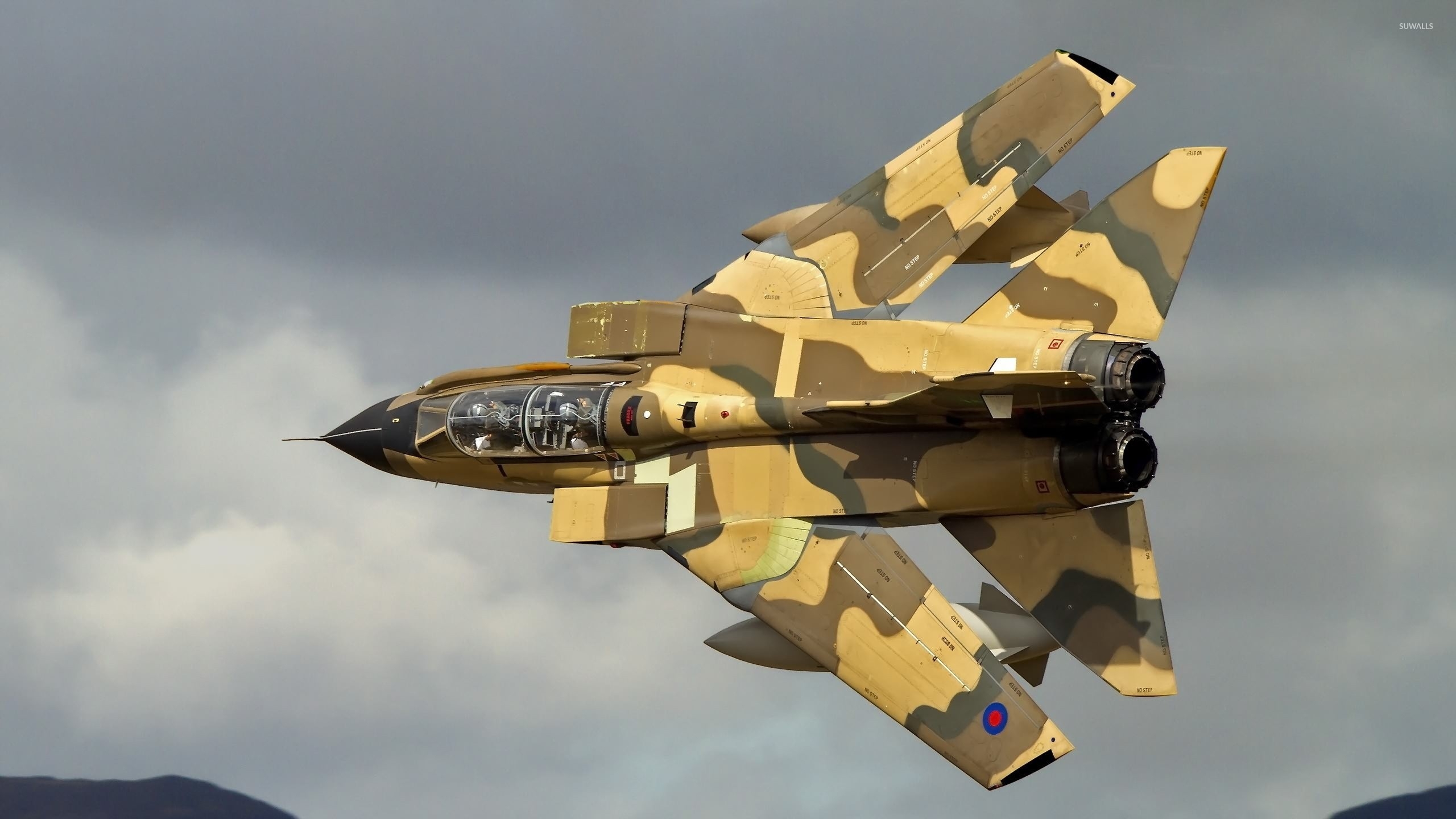 2560x1440 Panavia Tornado [4] wallpaper, Desktop