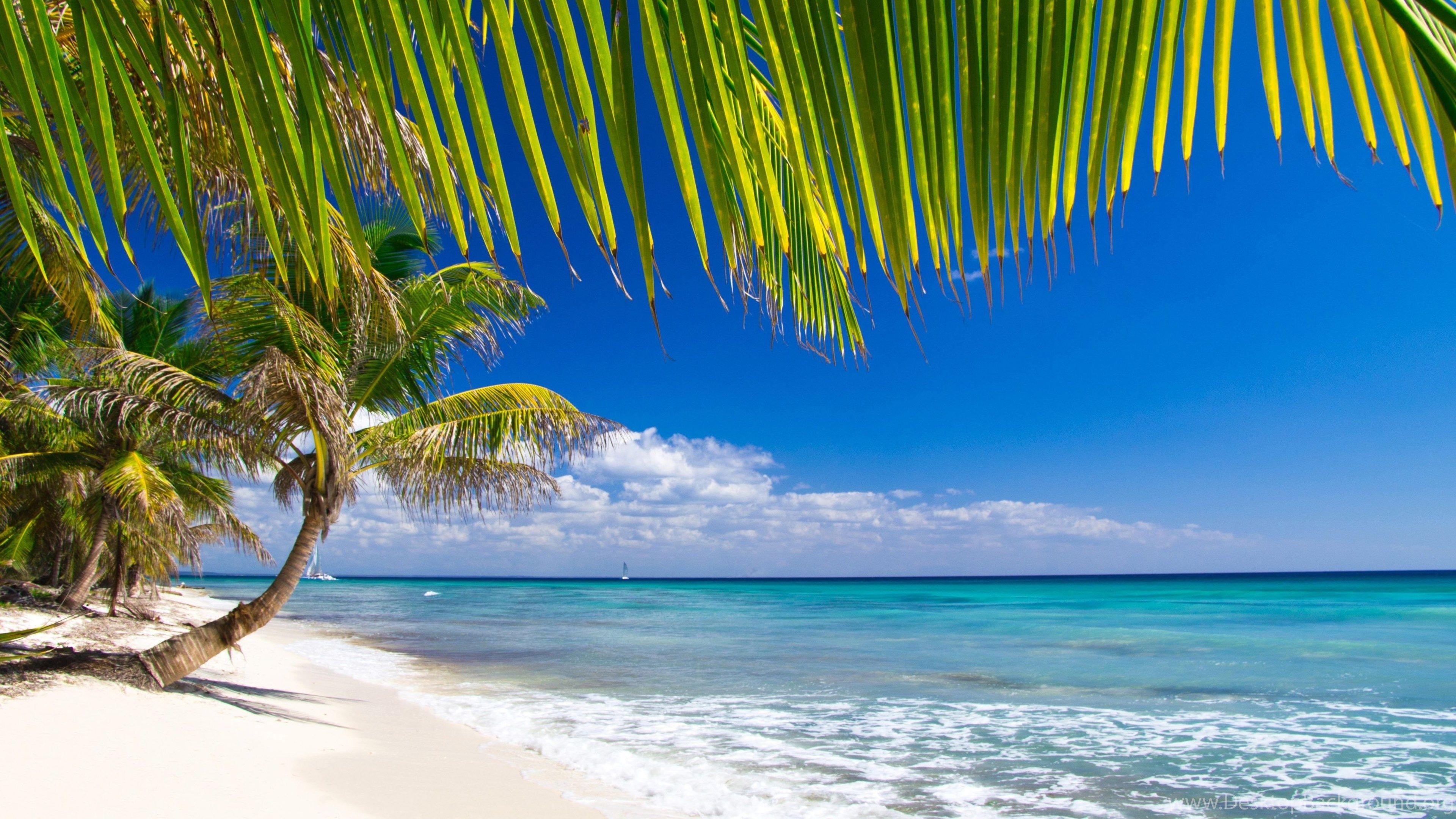 3840x2160 Caribbean Beach Awesome Wide Wallpaper Desktop Background, Desktop