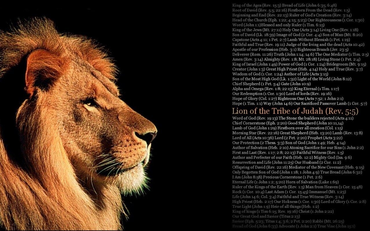 1280x800 Christ is All!: Jesus Christ: The Lion Of The Tribe Of Judah!, Desktop