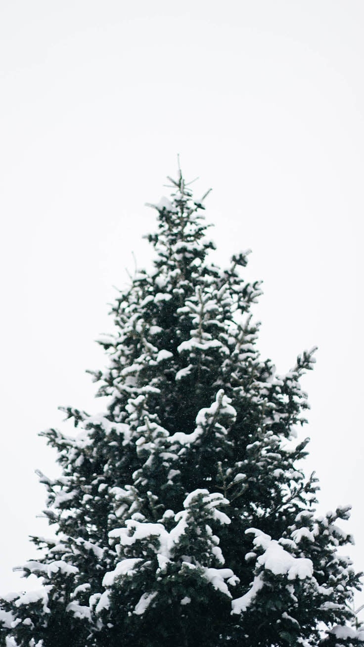 740x1310 Winter Wonderland iPhone Wallpaper By Preppy Wallpaper, Phone