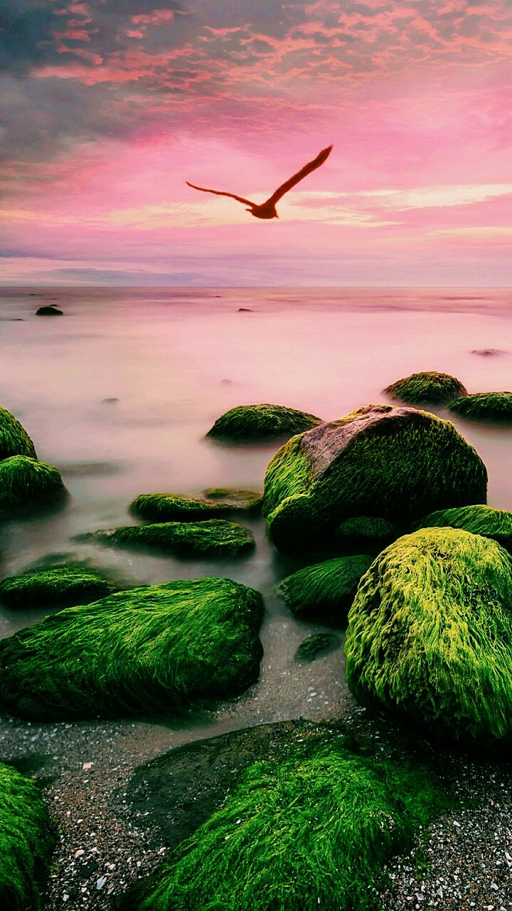 720x1280 Amazing iPhone 12 Nature Wallpaper. Abstract iphone wallpaper, Phone wallpaper image, HD nature wallpaper, Phone