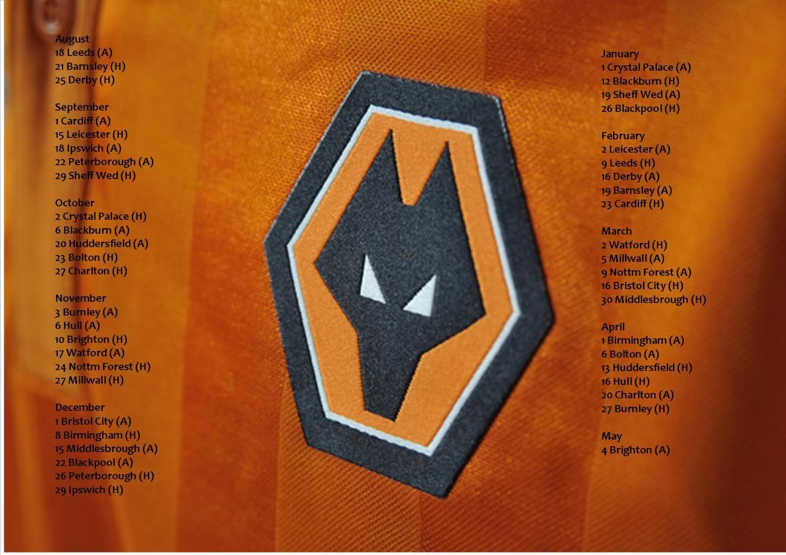 1600x1140 Wolves Fc Wallpaper, Desktop