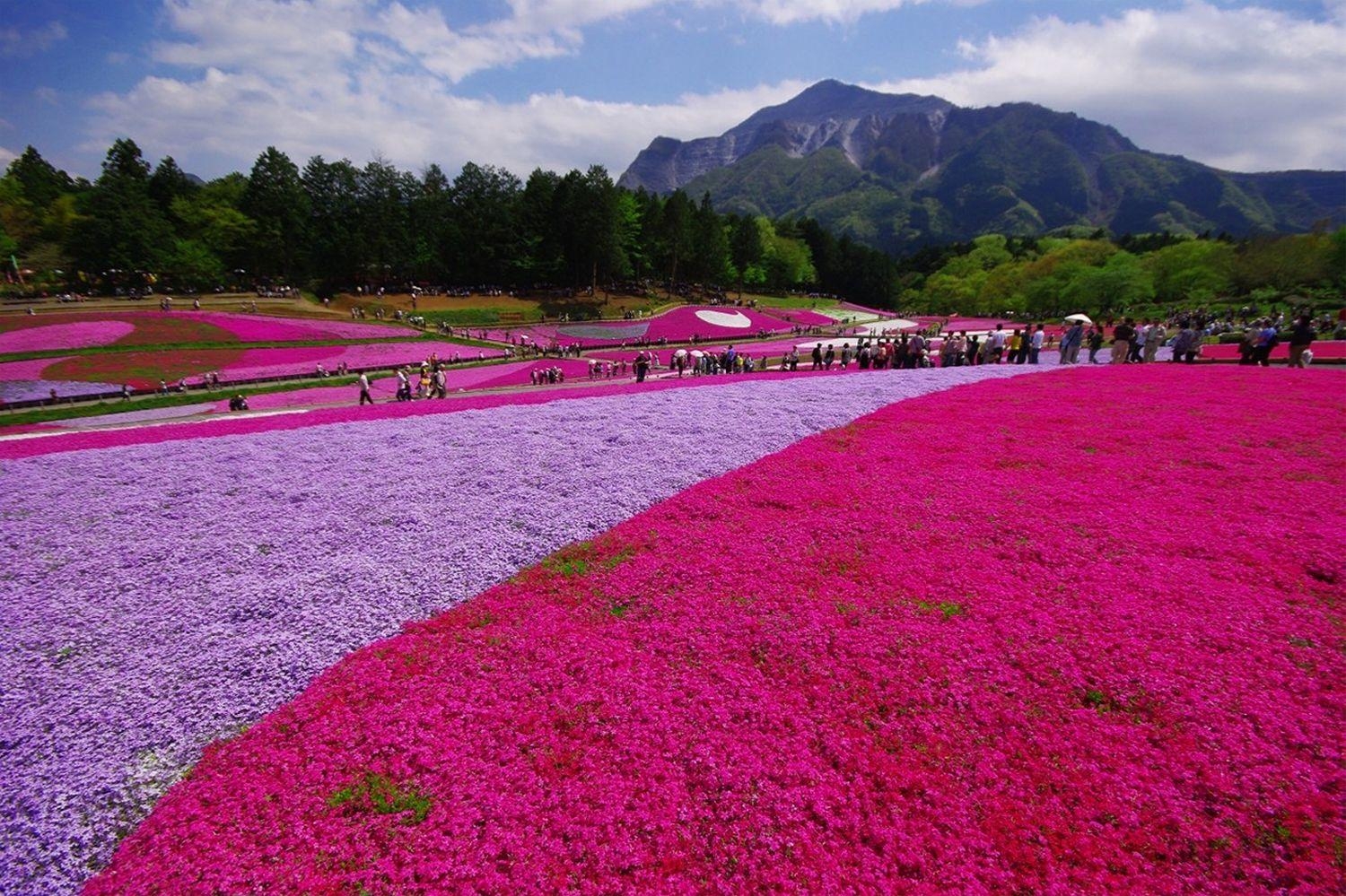 1500x1000 Hokkaido Gardens Wallpaper Quality, Desktop