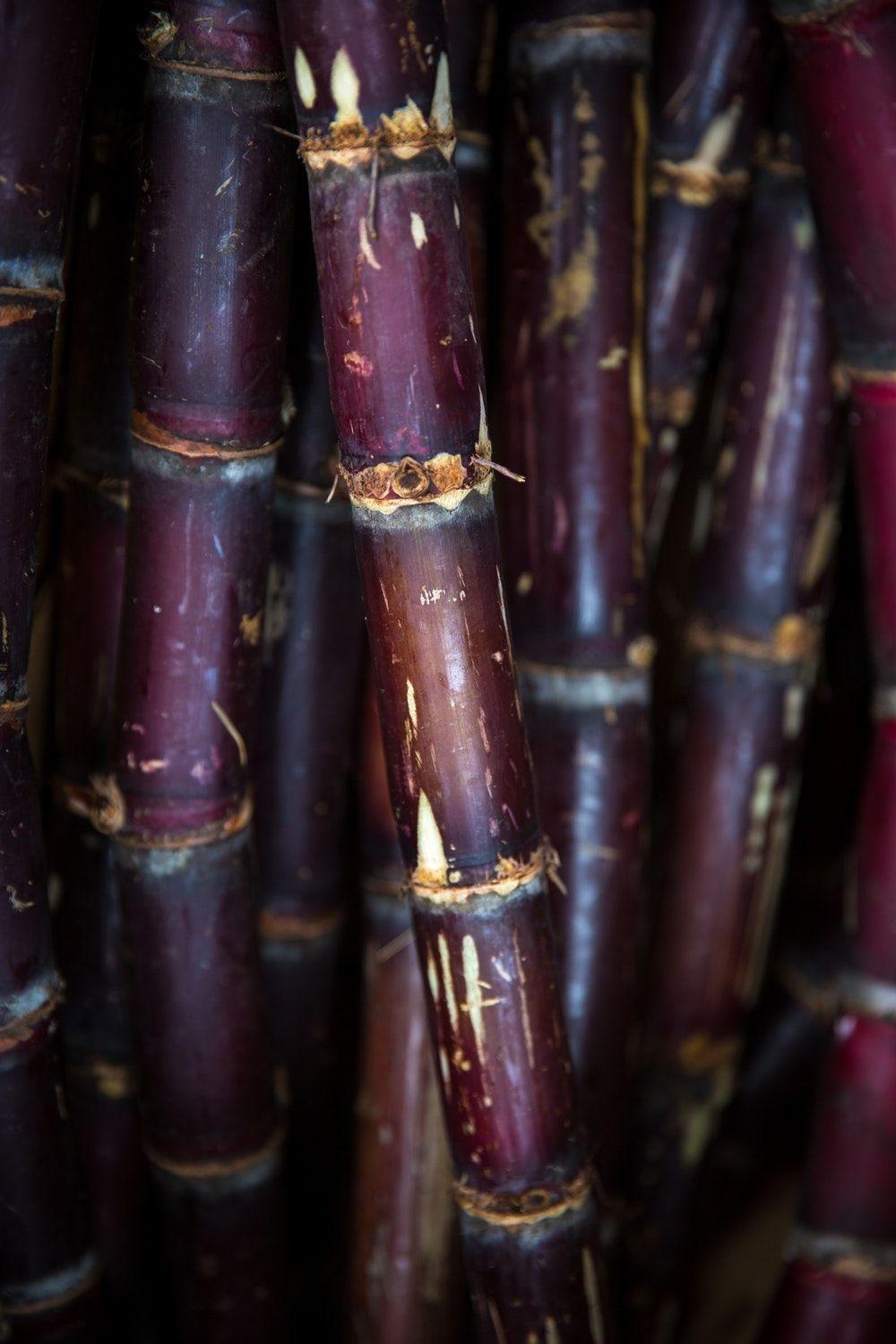 1000x1500 Wallpaper, purple and sugarcane HD photo, Phone