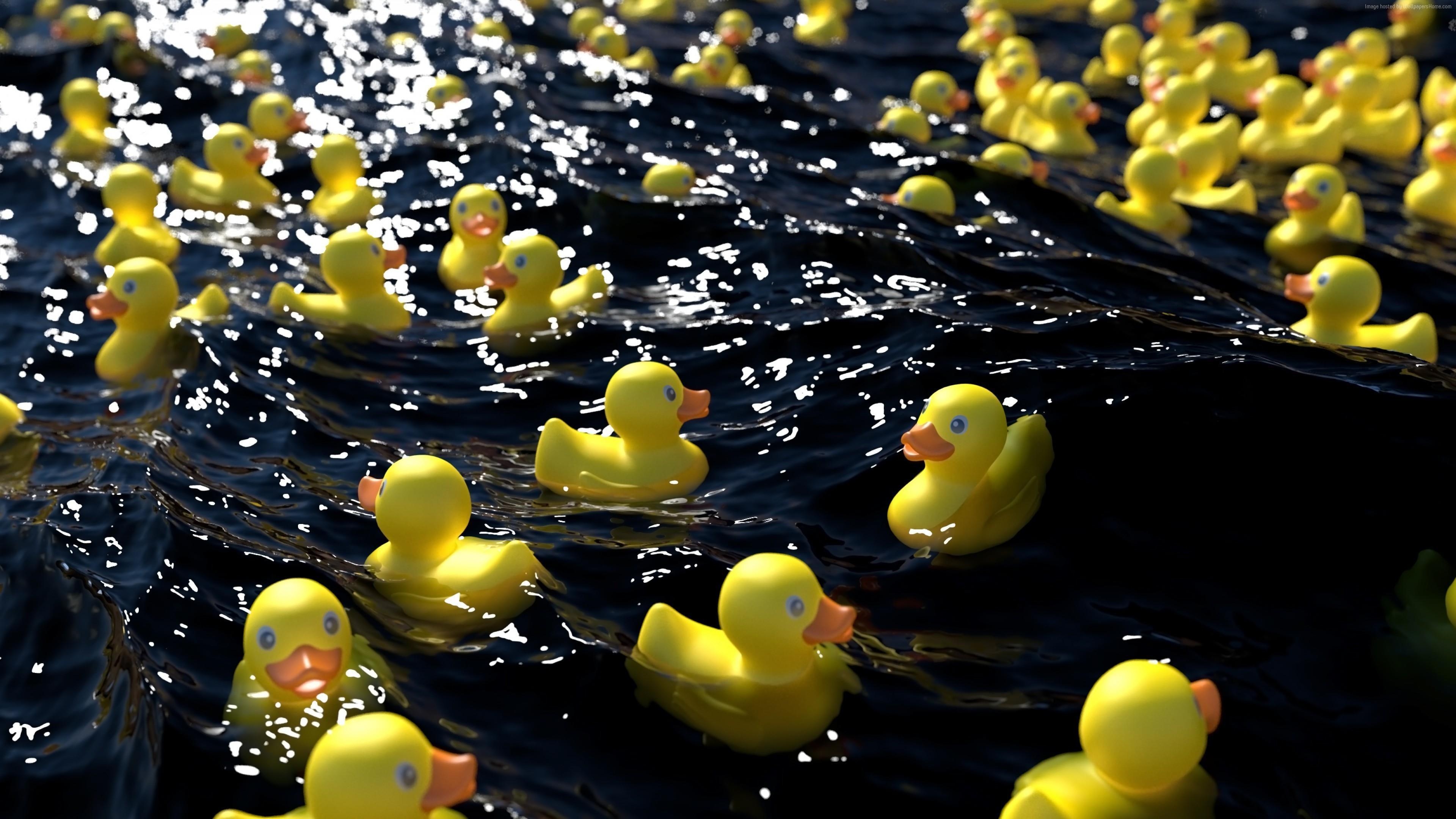 3840x2160 Rubber Duck Wallpaper, Desktop