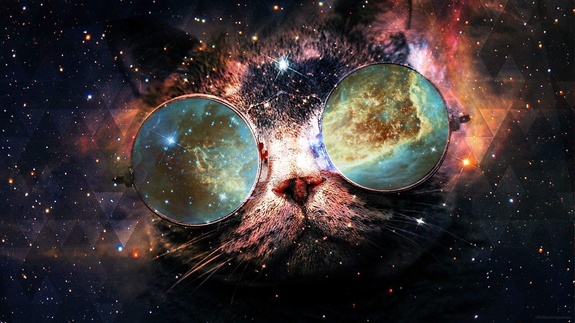 1920x1080 Cats in Space Wallpaper Free Cats in Space Background, Desktop