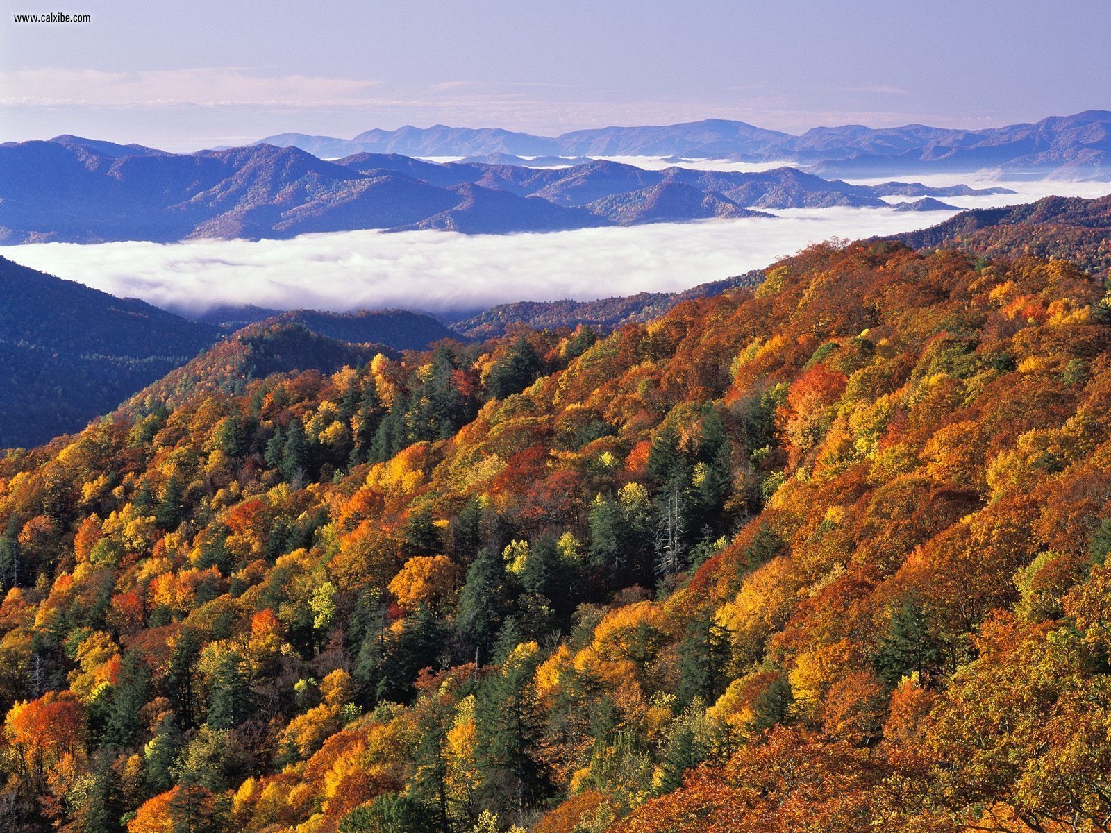 1600x1200 Great Smoky Mountains Wallpaper Free Great Smoky Mountains, Desktop