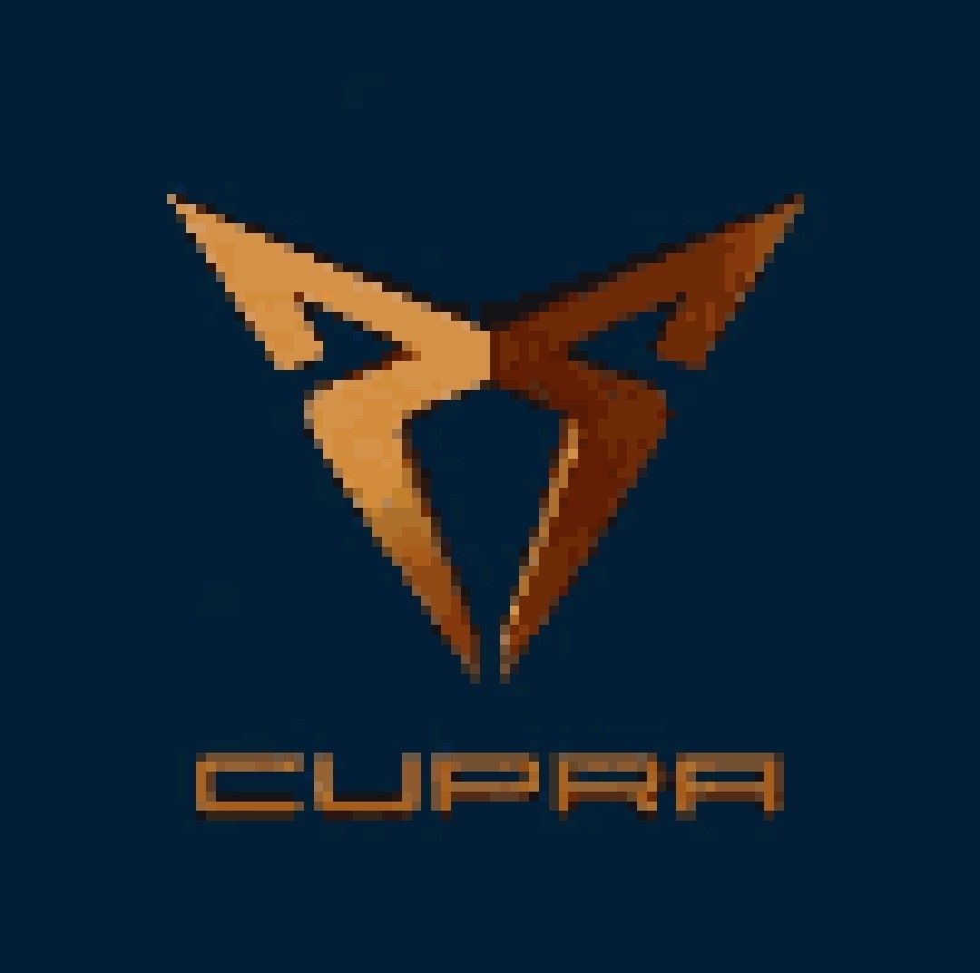 1080x1080 Cupra Logo. ? logo, Modern, Desktop