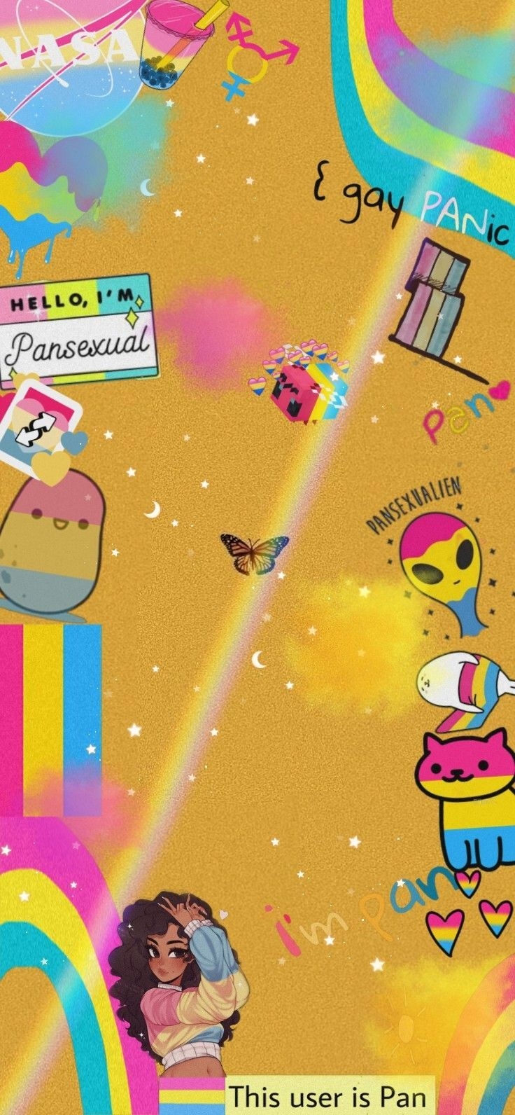 740x1600 Pansexual pride, Phone