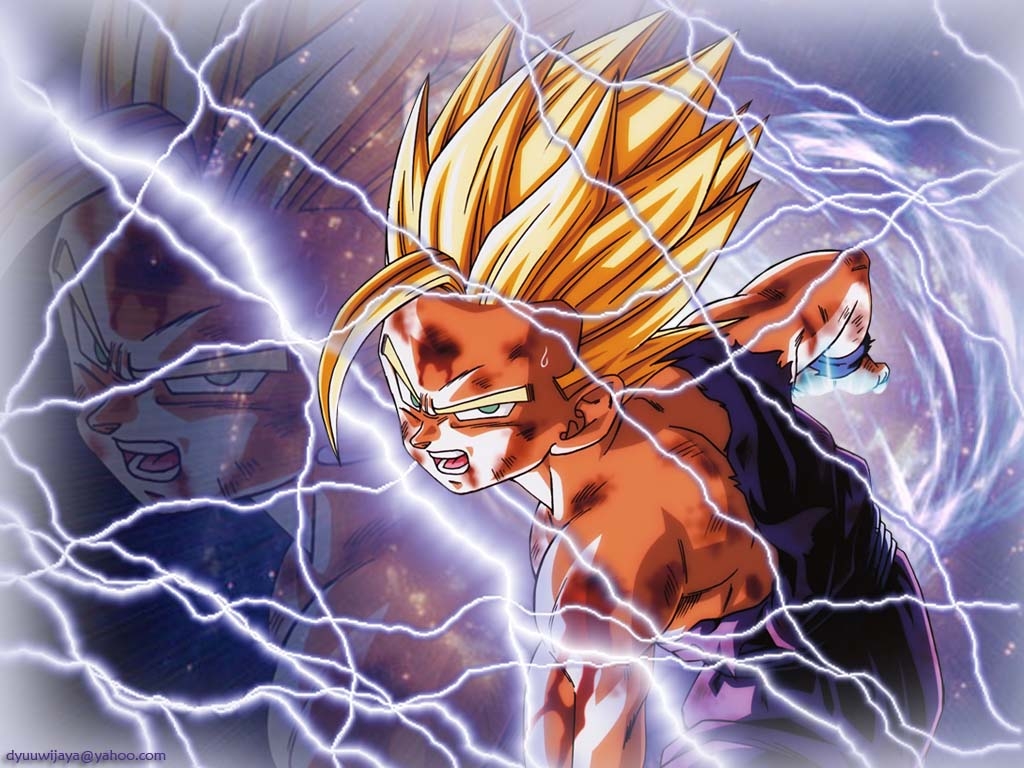 1030x770 Kid Gohan Wallpaper, Desktop