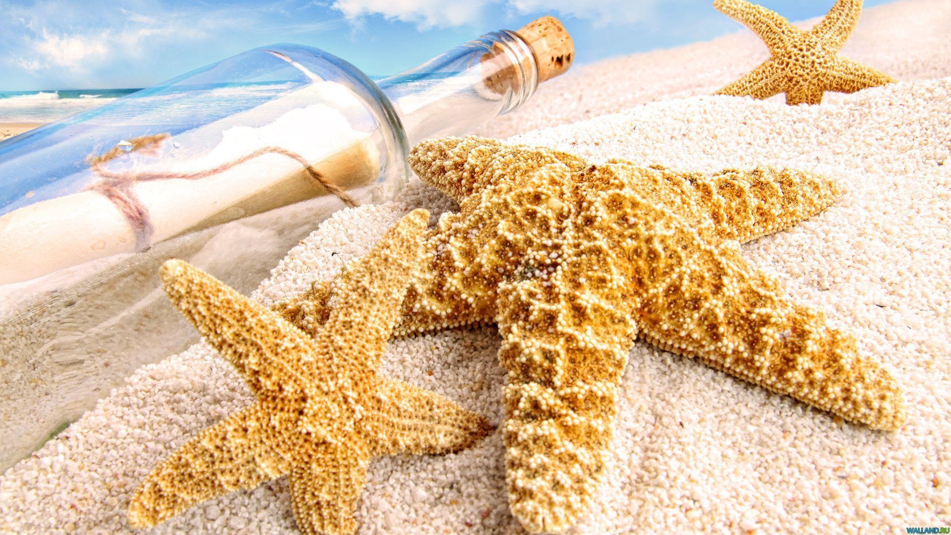 1920x1080 Starfish Wallpaper HD Desktop Background, Desktop