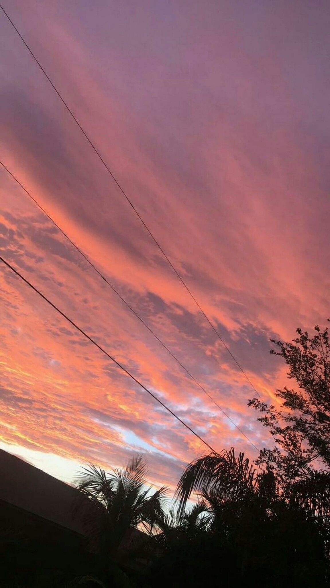 1160x2050 Sunset Skies Wallpaper, Phone