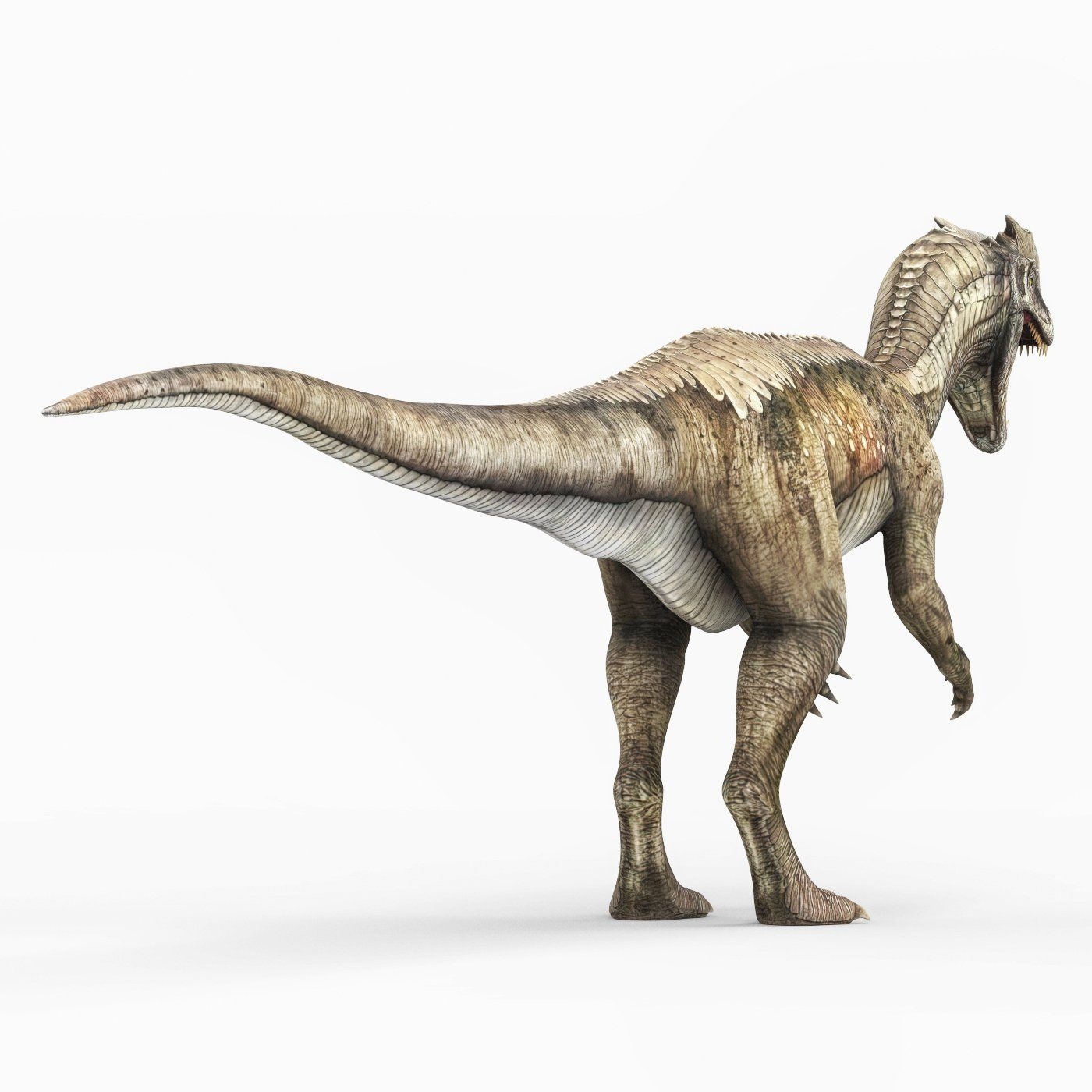 1400x1400 Dilophosaurus Dinosaur 3D Modelrenderhub.com · In stock, Phone