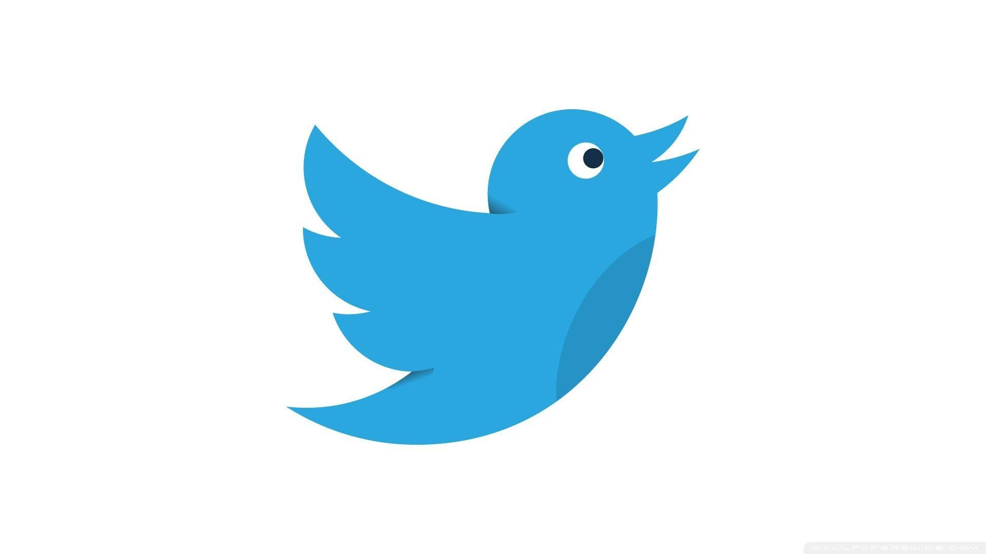 1920x1080 Twitter Bird Social Media HD desktop wallpaper, Widescreen, Desktop