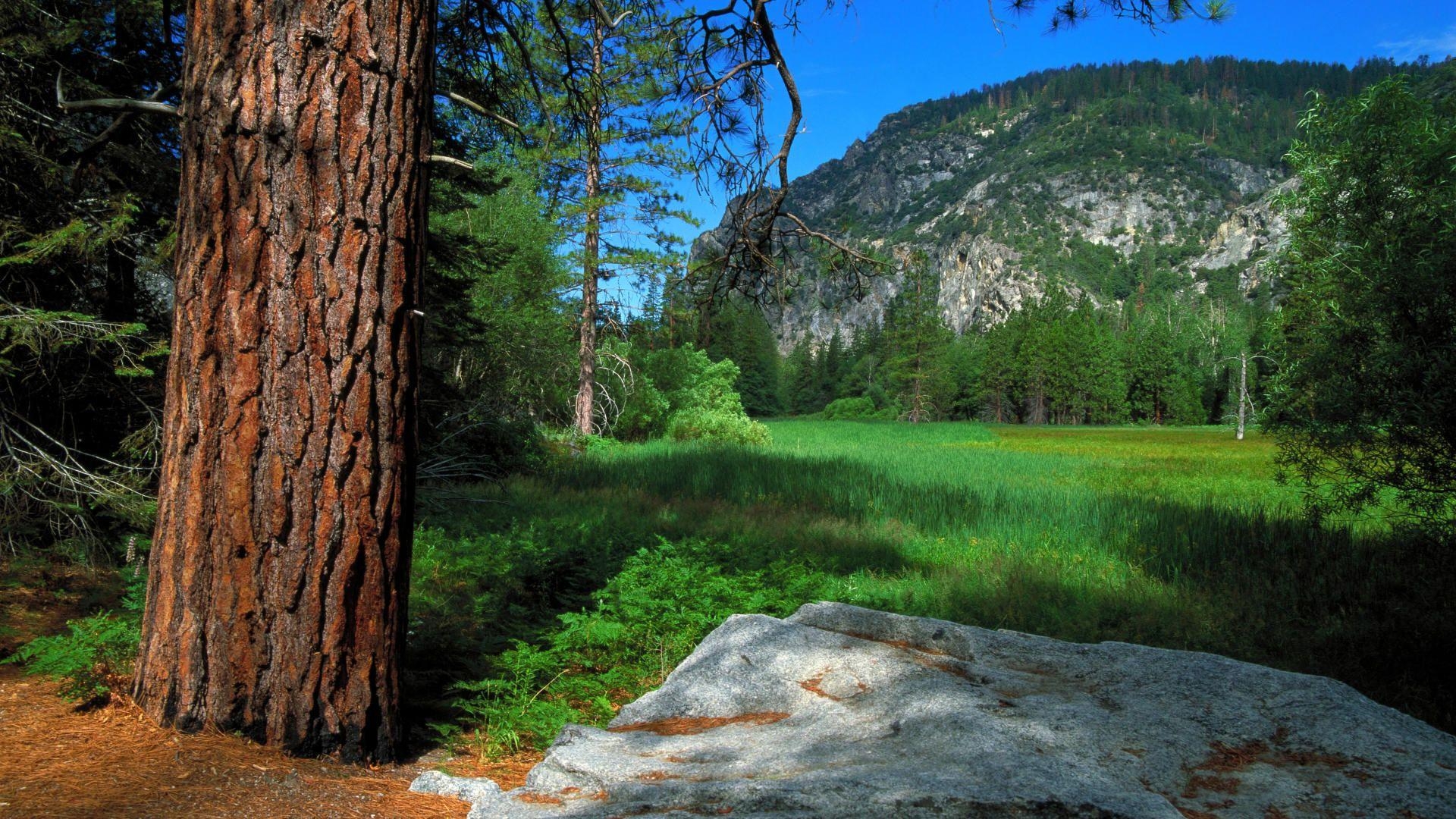 1920x1080 Zumwalt Meadow Trail, Sequoia and Kings Canyon National Parks, Desktop