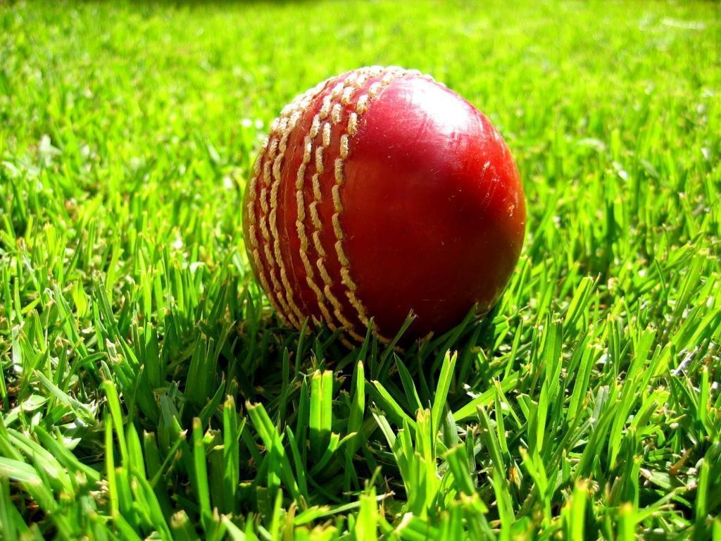 1030x770 Cricket Wallpaper, Desktop