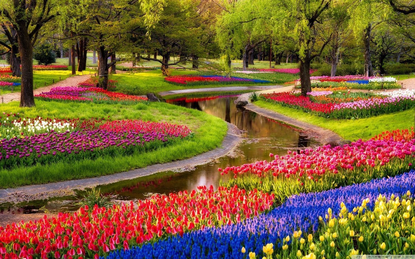 1440x900 Spring Flower Garden Park Wallpaper, Desktop