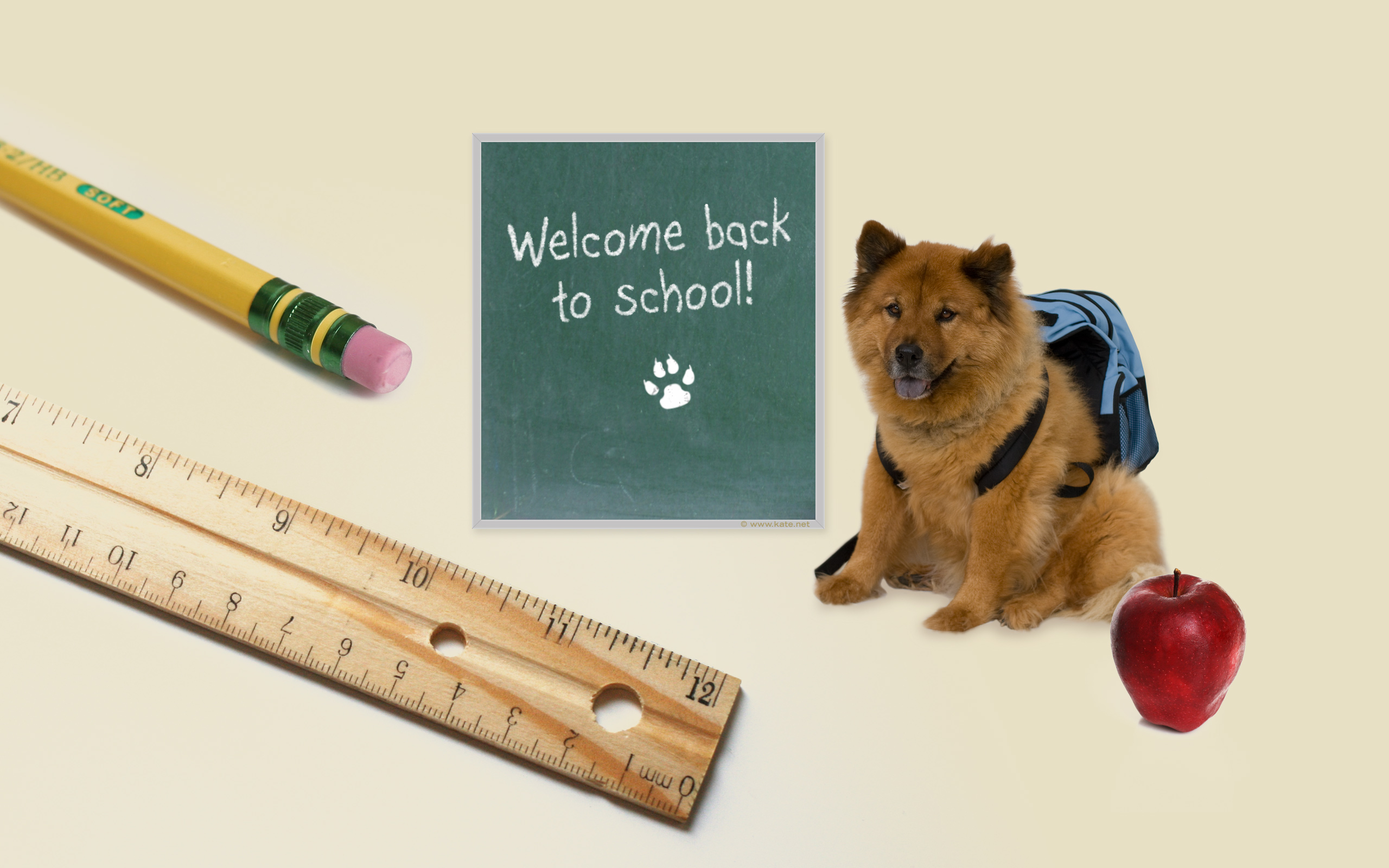 2560x1600 Download Free Back to School Background, Desktop