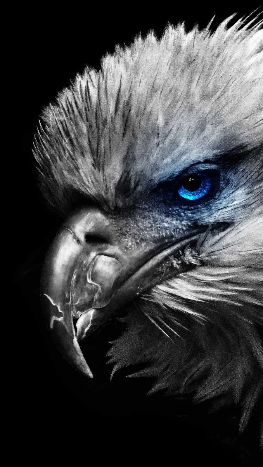 900x1600 Old Eagle IPhone Wallpaper Wallpaper, iPhone Wallpaper, Phone