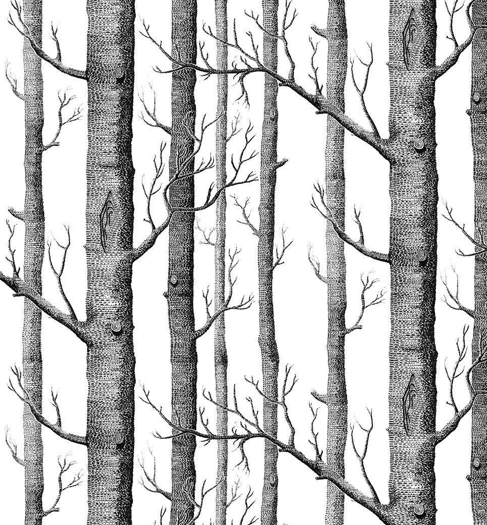 970x1050 Modern Minimalist Birch Tree Pattern Waterproof Wallpaper Wall Paper, Phone